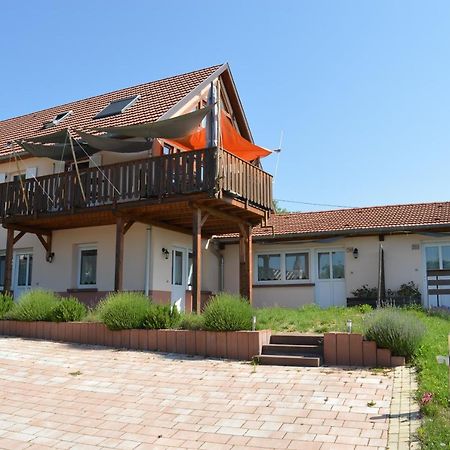 Chambres D'Hotes Les Vignes Saint-Jean-Saverne Exterior photo