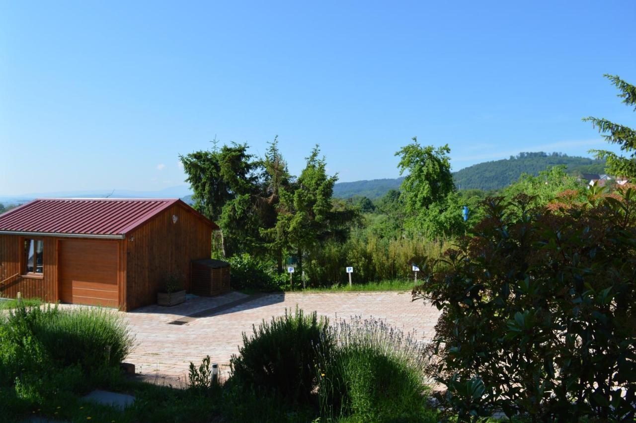 Chambres D'Hotes Les Vignes Saint-Jean-Saverne Exterior photo